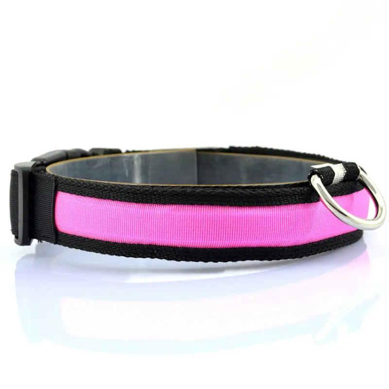 LED PET COLLAR PENDANT LIGHT