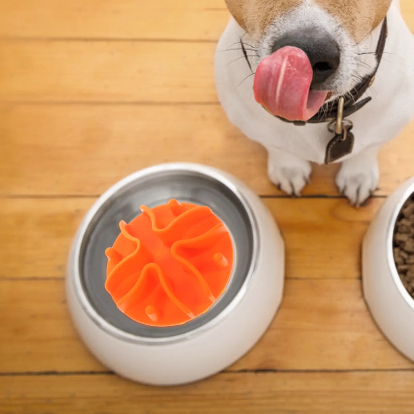 SLOW FEEDER INSERT FOR PETS