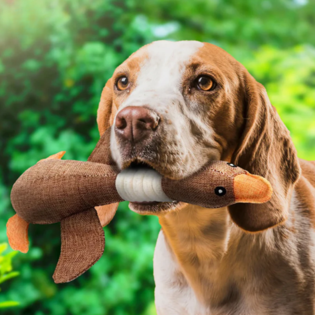GONSY ™ EXTRA STRONG DOG TOY