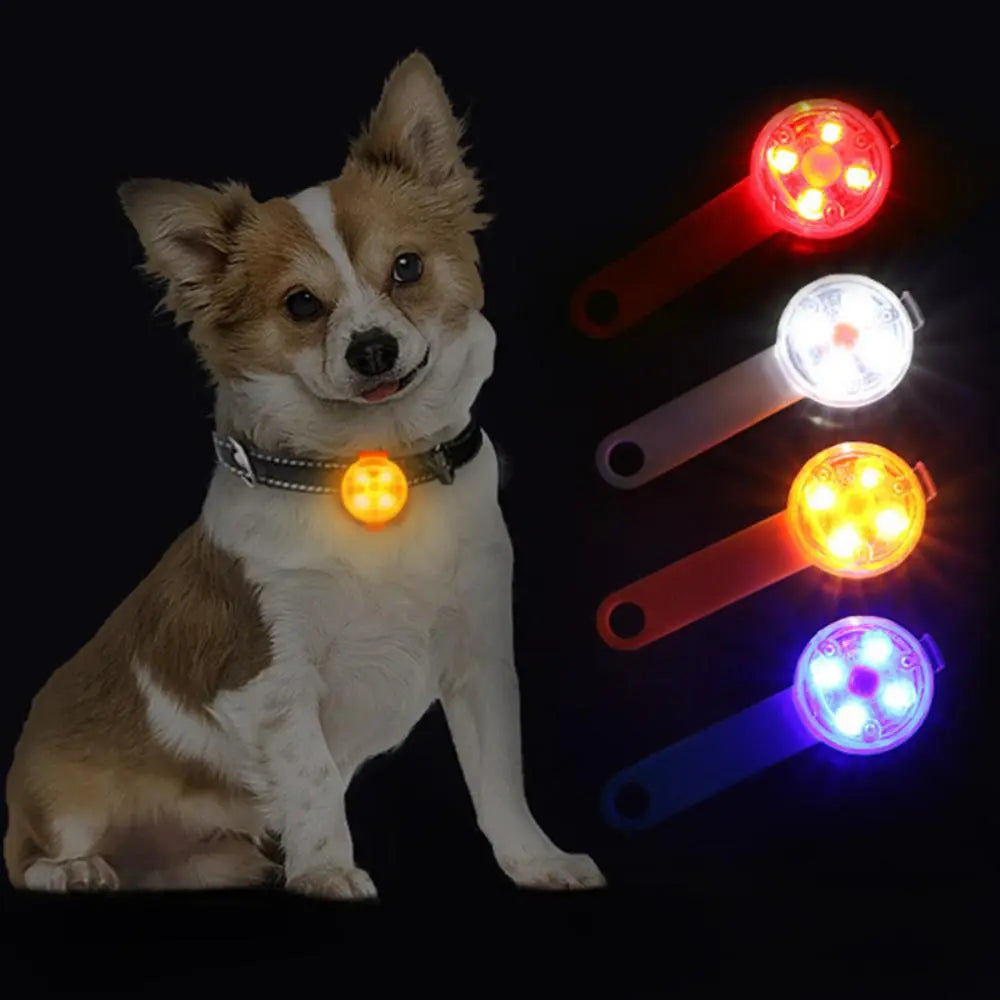 LED PET COLLAR PENDANT LIGHT