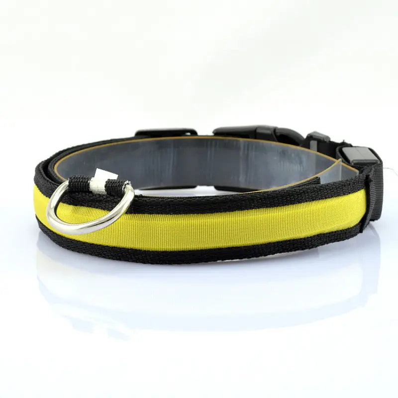 LED PET COLLAR PENDANT LIGHT