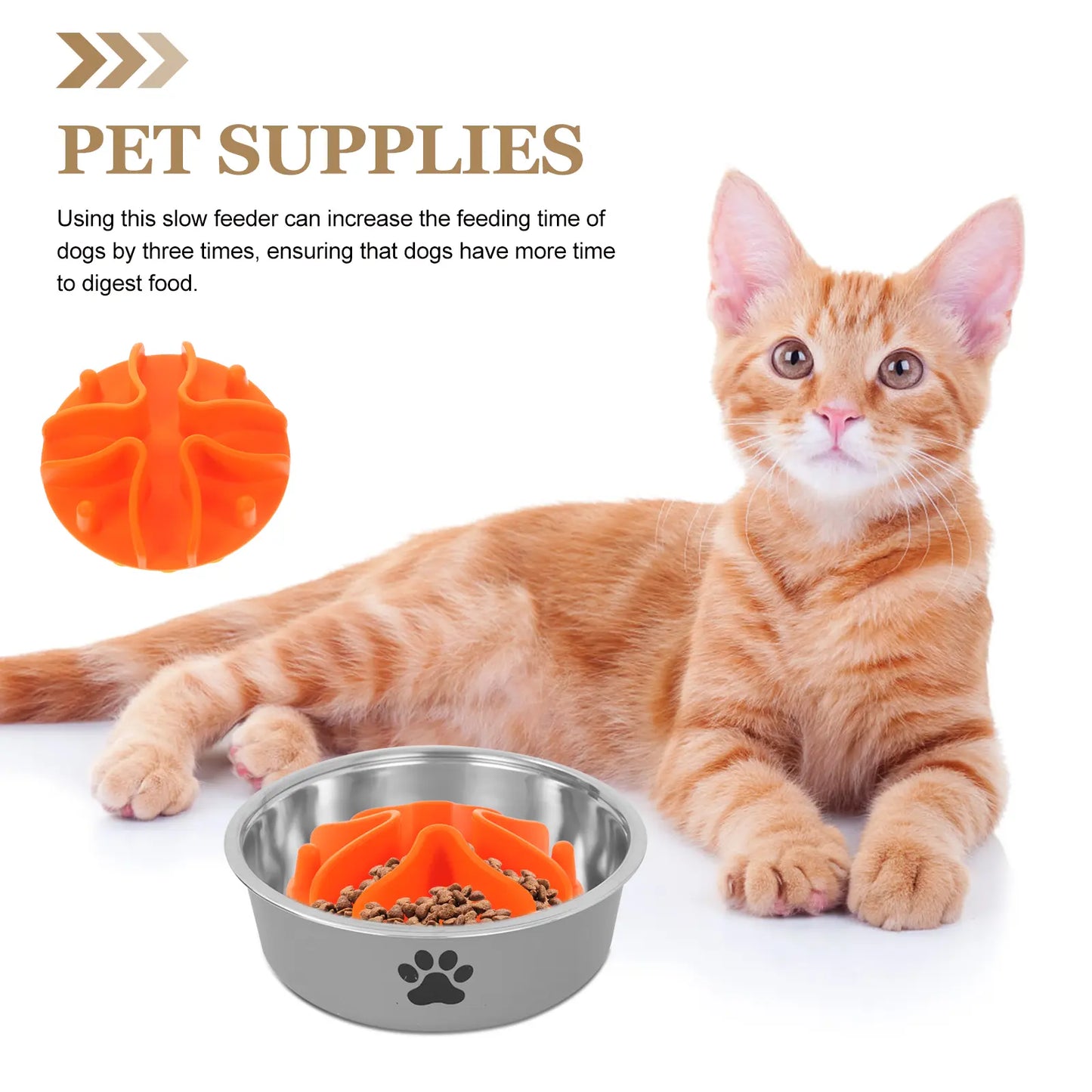 SLOW FEEDER INSERT FOR PETS