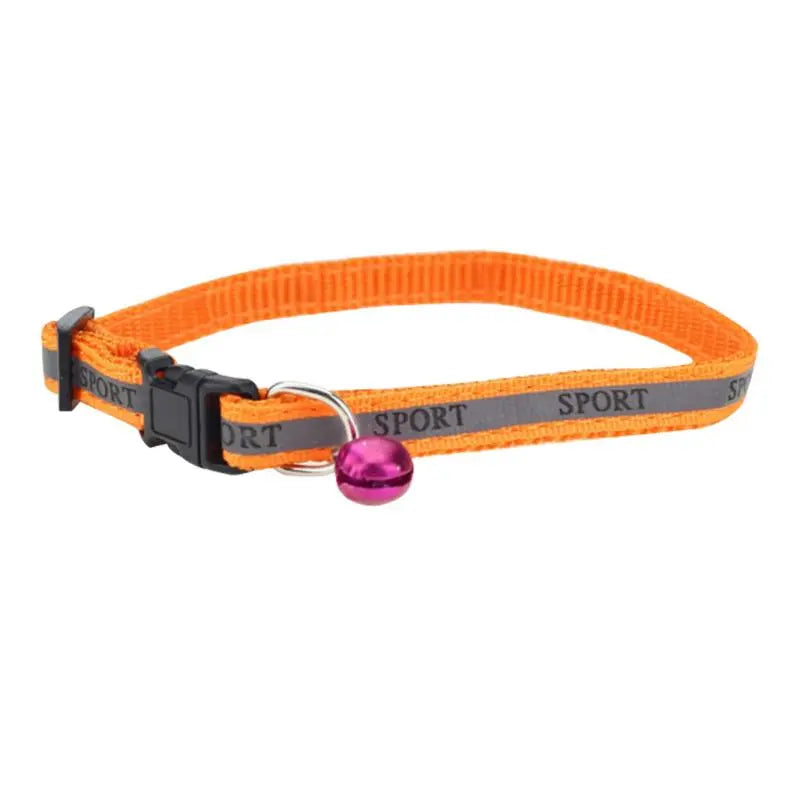 LED PET COLLAR PENDANT LIGHT